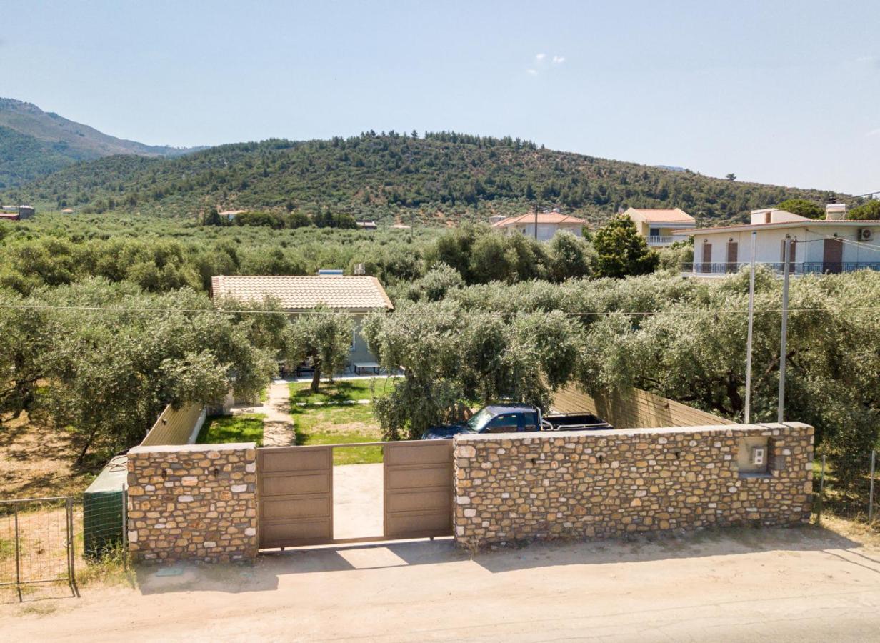 Villa 4 You Iliopetra Skala Sotiros Extérieur photo
